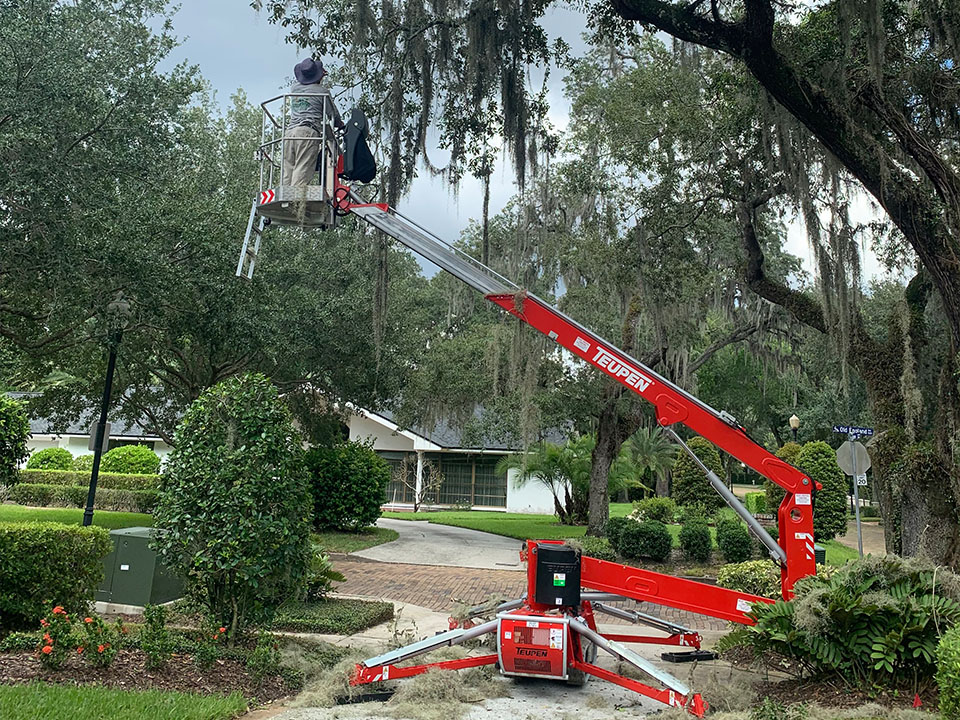 Tree Removal and Tree Trimming 